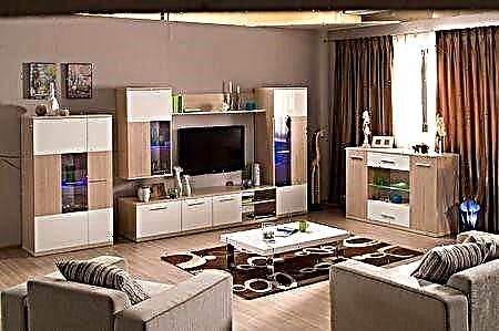 Видови на ТВ мебел, дизајни во дневната соба