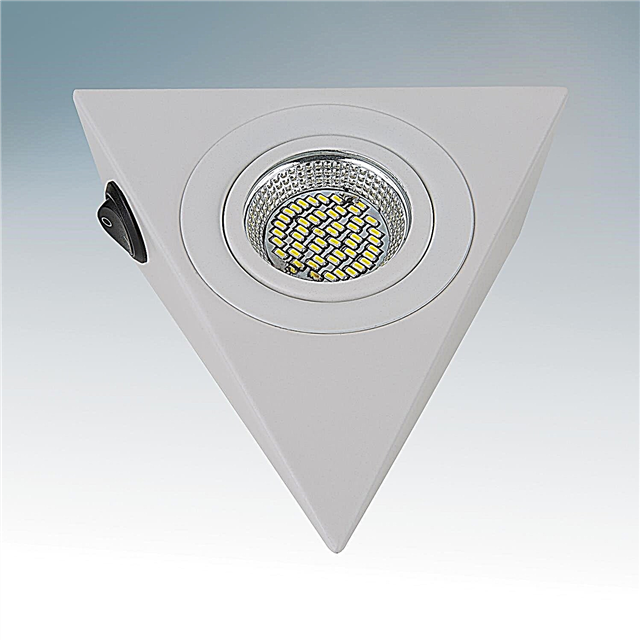 LED mebel lampalarının xüsusiyyətləri, modelə ümumi baxış