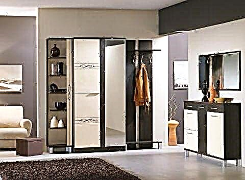 Опции за мебел во ходникот во модерен стил и неговите препознатливи карактеристики