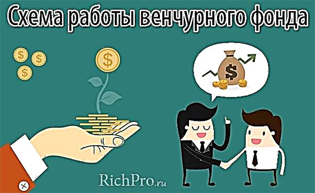 Rizične investicije - šta je to i koji je mehanizam rizičnog finansiranja + lista TOP-5 najboljih rizičnih fondova u Rusiji